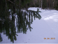 DSCN2108.JPG