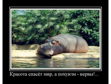 21.03.2010 14:21:12