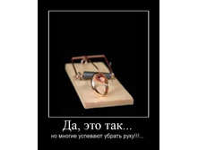 21.03.2010 14:26:14