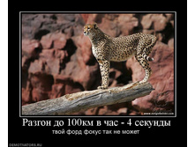 21.03.2010 14:29:37