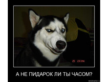 21.03.2010 14:31:23