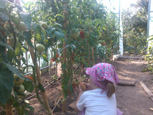 IMG_20120801_101921.jpg
