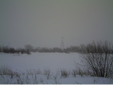 PICT0050.JPG