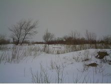 PICT0054.JPG