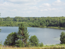 IMG_4659.jpg
