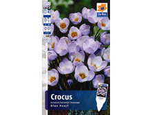 4�.-CROC-BLUE-PEARL.jpg