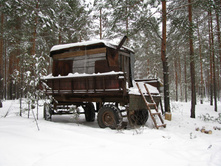 MG_5870.jpg