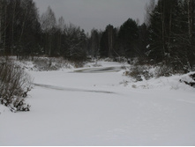 MG_5877.jpg