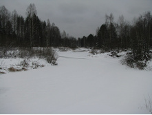 MG_5878.jpg