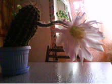 DSC00120.JPG