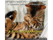 24.03.2010 20:28:52