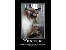 24.03.2010 20:30:17