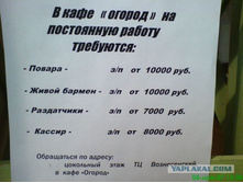 25.03.2010 11:14:57