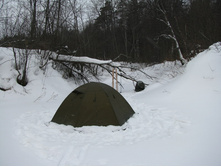 MG_5444.jpg