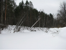 MG_5456.jpg