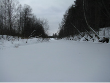 MG_5458.jpg