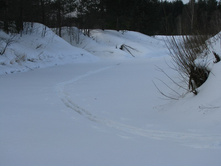 MG_5477.jpg
