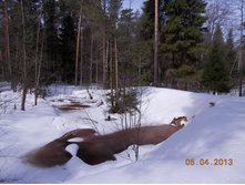 DSCN2121.JPG