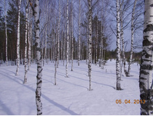 DSCN2153.JPG