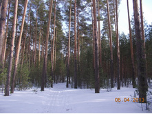 DSCN2154.JPG