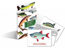000211_big_riby_fishes_13.jpg