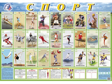 000153_big_p_sport.jpg