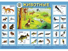 000149_big_icon_52334.jpg