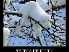 26.03.2010 13:36:21