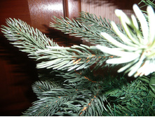 12.12.2012 0:27:58