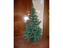 12.12.2012 0:30:39