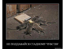 12.12.2012 13:38:48