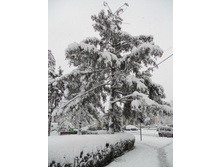 DSCN2670.JPG