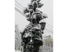 DSCN2672.JPG