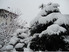 DSCN2673.JPG