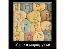 ������������.jpeg