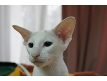 DSC00552.JPG