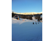 IMG_1107.jpg