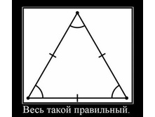 d1O8DD1S73U.jpg