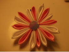 DSCF0252.JPG