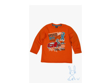 1319.jpg   387�   3-4����, 4-5���,  5-6���