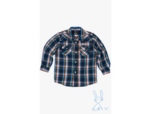 1343.jpg   375�   5-6 ���