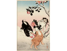 77451327_large_camelliapuppies.jpg
