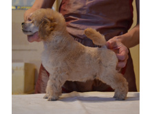 DSC_0723.JPG