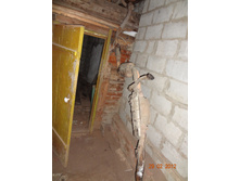 DSC00567.JPG