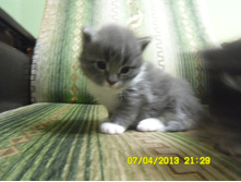 SAM_0546.JPG