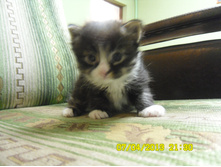SAM_0548.JPG
