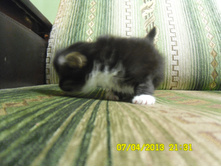 SAM_0551.JPG