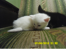 SAM_0555.JPG