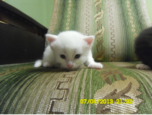 SAM_0556.JPG