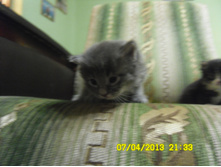 SAM_0559.JPG